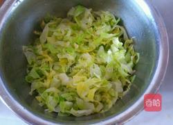 卷心菜拌粉丝的做法图解8