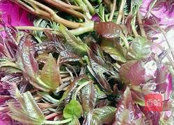 香椿煎鸡蛋的做法图解1