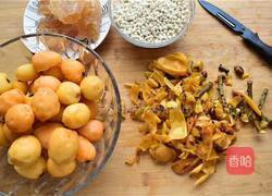 川贝枇杷露的做法图解1