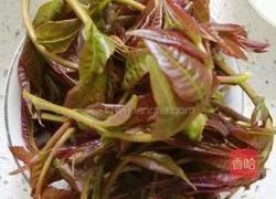 爆腌儿香椿的做法图解2