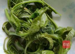 香椿鸡蛋的做法图解3