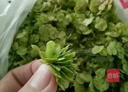 榆树钱贴饼子的做法图解2