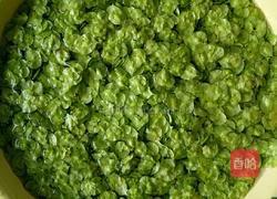 榆树钱贴饼子的做法图解3