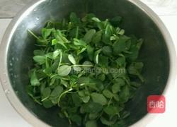 苜蓿鸡蛋饼的做法图解1