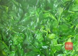 苜蓿鸡蛋饼的做法图解2