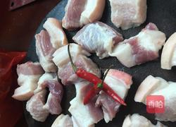 红烧肉焖春笋的做法图解6