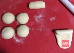 一次发酵白吐司的做法图解4