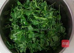 苜蓿菜团的做法图解1