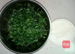 苜蓿菜团的做法图解2