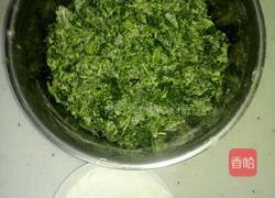 苜蓿菜团的做法图解3