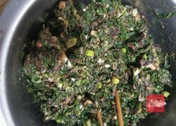 荠荠菜饺子的做法图解4