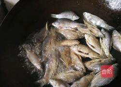 辣椒炒小鱼的做法图解6