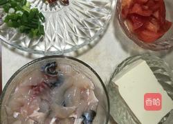 西红柿炖鱼片的做法图解1