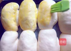 火腿肠芝士面包的做法图解13