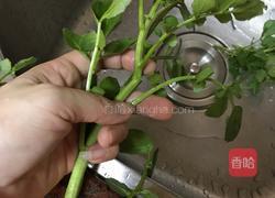 西洋菜汤的做法图解2