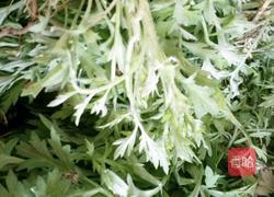 艾蒿南瓜青团子的做法图解2