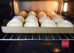 奶香蜜豆椰蓉包的做法图解15