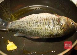 鲫鱼豆腐汤的做法图解3