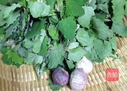 蒜蓉灰灰菜的做法图解2