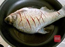 红烧鳊鱼的做法图解5