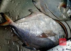 鲳鱼简单做法的做法图解1