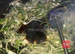芊蔴蒜炒鸡蛋的做法图解16