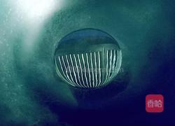 酱味排骨的做法图解6