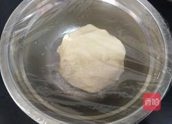 老婆饼(豆沙馅)的做法图解3