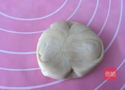 老婆饼（豆沙馅）的做法图解17
