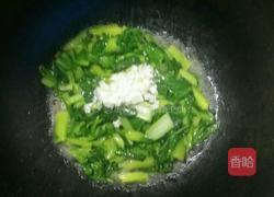 蒜香小白菜的做法图解5