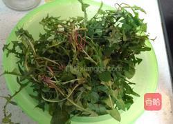 蒲公英茶的制作的做法图解1