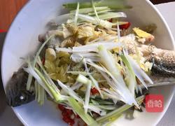 川味泡菜清蒸鲈鱼的做法图解7