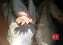 川味卤鸡的做法图解1