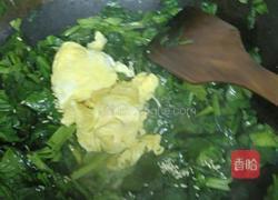 菠菜炒黄金菜的做法图解8