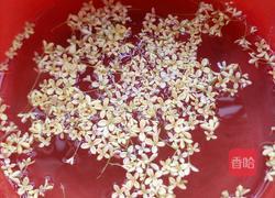 糖桂花的做法图解6