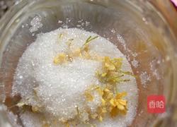 糖桂花的做法图解12