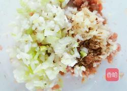 玫瑰花煎饺的做法图解4