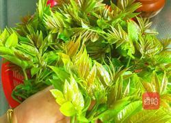 香椿料理的做法图解3