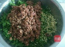 茴香鲜肉饺子馅……豆瓣酱版的做法图解7