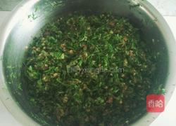 茴香猪肉馅饺子的做法图解9