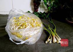 青蒜炒黄豆芽的做法图解1