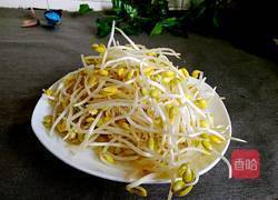 青蒜炒黄豆芽的做法图解2