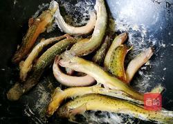 红烧泥鳅的做法图解4