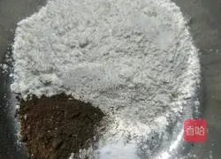 Cocoa Bear Biscuits Recipe Illustration 6