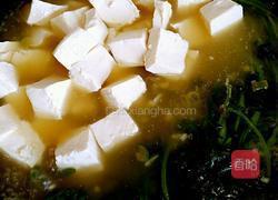 茼蒿炖豆腐的做法图解6
