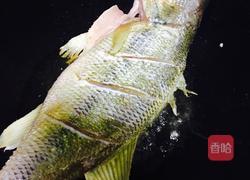 葱香茄汁焖鲈鱼的做法图解11