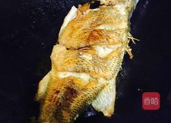 葱香茄汁焖鲈鱼的做法图解13