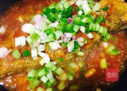 葱香茄汁焖鲈鱼的做法图解20