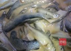 香酥小鱼的做法图解4