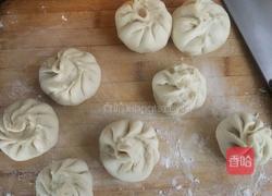 胡萝卜豆腐猪肉馅包子的做法图解18